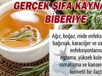 GERÇEK ŞİFA KAYNAĞI BİBERİYE Kürü Tam Bir Şifa Kaynağı..