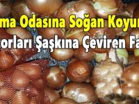 Oturma Odasına Soğan Koyunca, Doktorları Şaşkına Çeviren Fayda