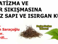 Isırgan ve kiraz sapı kürü ile iltihaplı eklem romatizmasına son!