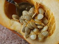 Cebinizdeki Doktor “Kabak Çekirdeği”