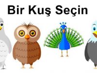 Seçtiğiniz Kuş, Kişiliğinizle İlgili Gerçekleri Ortaya Çıkarıyor