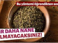 Bir Daha Kesinlikle Nane Satın Almayacaksınız.