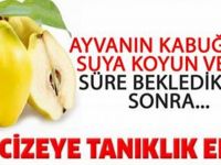 Kış aylarında ayva kabuğu ile şifa bulun