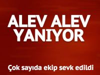 Orman alev aldı... Çevre illerden destek geldi...