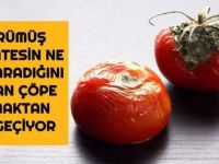 ÇÜRÜMÜŞ DOMATESİN NE İŞE YARADIĞINI DUYAN, ÇÖPE ATMAKTAN VAZGEÇİYOR