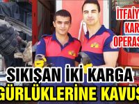 KARGALAR İÇİN SEFERBER OLDULAR