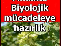 Biyolojik mücadeleye hazırlık
