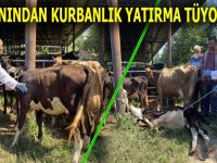 Kurban Yatırmanın Püf Noktaları