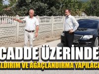 Cadde Üzerinde Kaldırım Ve Ağaçlandırma Yapılacak