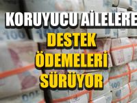 Koruyucu Ailelere Destek Ödemeleri Sürüyor