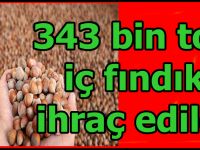 Fındık ihracatında Cumhuriyet tarihinin rekoru