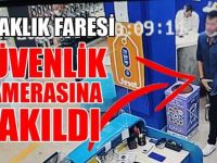 Kulaklık Faresi Güvenlik Kamerasına Takıldı