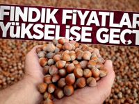 Türkiye’nin en yüksek fındık alımı Düzce’de yapılıyor