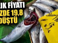 Balık Fiyatları Yüzleri Güldürdü