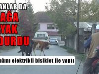 Çobanlar Da Teknolojiye Ayak Uydurdu