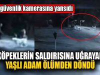 Köpeklerin Saldırısına Uğrayan Yaşlı Adam Ölümden Döndü