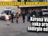 Ekmek Kuyruğu Değil Pandemi Kuyruğu!
