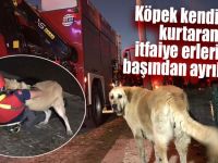 Dereye Düşen Köpeği İtfaiye Ekipleri Çıkarttı