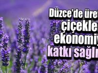 Üretilen Çiçekler Ekonomiye Katkı Sağlıyor