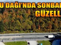 Bolu Dağı’nda sonbahar güzelliği