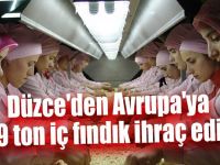 AB Ülkelerine Fındık İhracatı Sürüyor