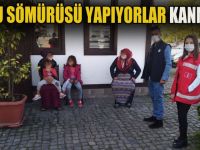 Düzce Belediyesinden dilencilere operasyon