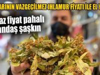 Ihlamur Fiyatı İle El Yakıyor