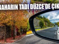 Sonbaharın Tadı Düzce’de Çıkıyor