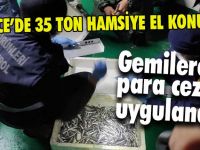 Boyları küçük olan hamsilere el konuldu