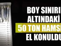 50 Ton Hamsiye El Konuldu