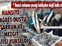 Karadeniz’de Hamsi Avı Yasağı Devam Ediyor