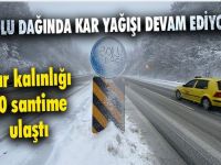 Lapa Lapa kar yağışı sürüyor