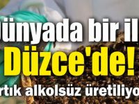 Dünyada bir ilk Arı Mucizesi