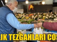 BALIK TEZGAHLARI COŞTU