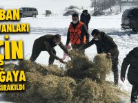 Yaban Hayvanları İçin Doğaya Yem Bırakıldı
