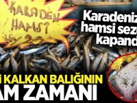 Karadeniz'de hamsi çekildi, sezon kapandı