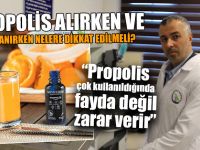 Propolis Alırken ve Kullanırken Nelere Dikkat Edilmeli?
