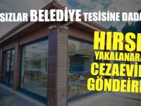 Belediyenin Tesislerinde Hırsızlık Yapan Şahıs Tutuklandı