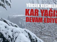 Yüksek Kesimlerde Kar Yağışı Devam Ediyor