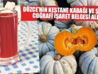 Kestane Kabağı ve Şırası Coğrafi İşaret Belgesi Aldı