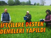 Çiftçiye Destek Ödemesi