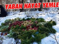 ONLARDA AÇ KALMASIN DİYE