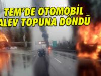 CANLARINI ZOR KURTARDILAR