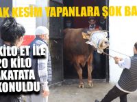 Kaçak Kesim Yapanlara Şok Baskın