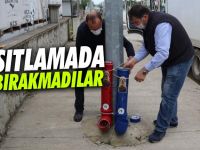 Sokak hayvanları kısıtlamada aç kalmadı