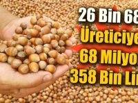 Düzceli fındık üreticilerine 68 milyon lira