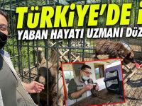 Yaban hayat onlardan soruluyor