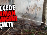 Yığılca ve Gümüşova'da orman yangını