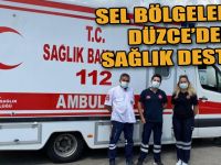 Düzce'den sağlık desteği