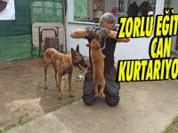 Enkaz Altından Can Kurtarıyorlar